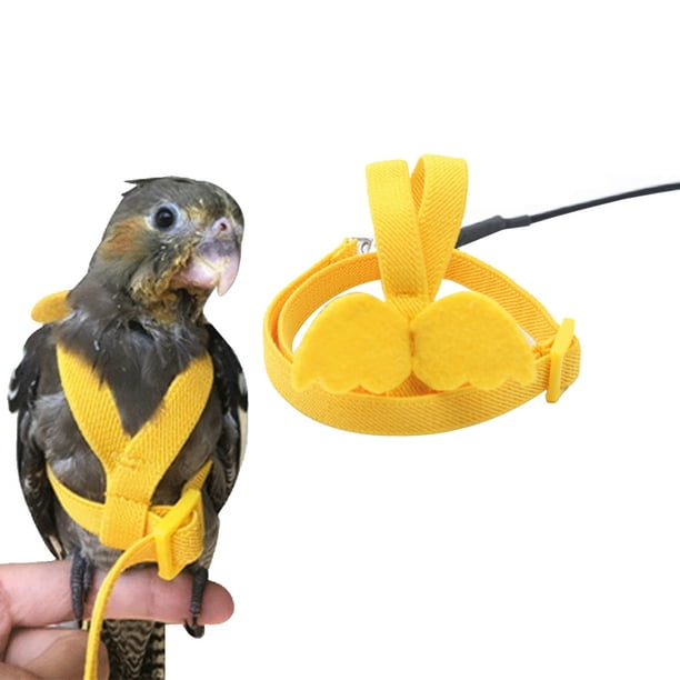 Bird Lovely Leash Set and Harness,Fashion Parrot Harness,Length 200cm,made  of elastic rope,with adjustment buckle,for geese 