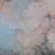 thumbnail image 4 of Adorno de gasa de Tul Sunnimix 100 piezas Forma de Flor Ribete de tela, 4 of 8