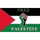 thumbnail image 1 of A Flag To Show Support For A Free Palestine, 1 of 1