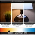 thumbnail image 2 of SUNLITE 12w LED Wall Mounted Antique style Lantern - 3000K, 2 of 2