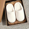 thumbnail image 5 of Risckoth Women's Closed Toe Slippers Plush Fleece Round Head Cozy Indoor Shoes, 5 of 5