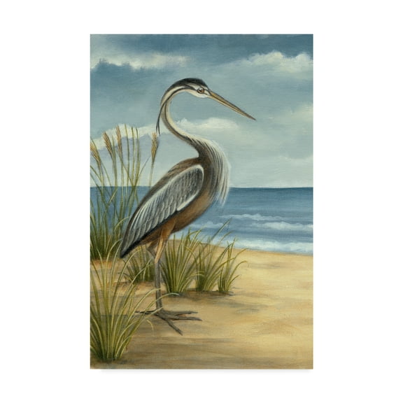 Trademark Fine Art 'Shore Bird I' Canvas Art by Ethan Harper