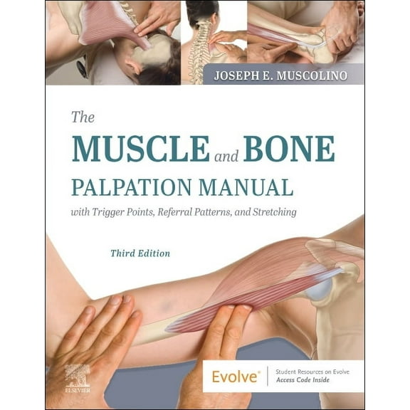 The Muscle and Bone Palpation Manual with Trigger Points, Referral Patterns and Stretching, (Paperback)