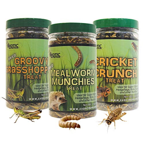 Exotic Nutrition Dried Insect 3 Pack Crickets, Mealworms for Sugar Gliders