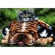 thumbnail image 1 of Taladro diamante pintura (DE4288) 5D DIY completo perro gato punto de cruz bordado artesanía 40x50cm Hugtrwg Para estrenar, 1 of 1