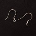 thumbnail image 1 of Fenovo 925 Pendientes de plata Juego de pendientes de pescado Fornituras Macarena Ganchos de plata de ley 925, 1 of 6