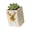 Gold, variant on Creative Succulents Planter Lovely Deer Pattern Planter Gardens Supply for Indoor Outdoor Plant