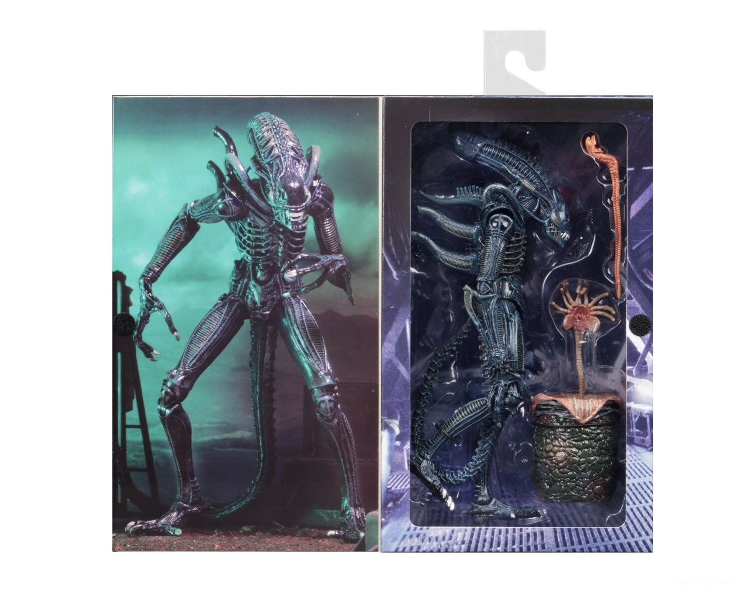 Alien- 7