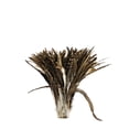 thumbnail image 2 of Zucker Feather Products Rooster Coque Tails Feathers Chinchilla - 11-14" - Natural, 2 of 2