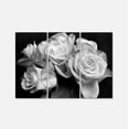 thumbnail image 2 of Design Art - Bunch of Roses Black and White, 2 of 3