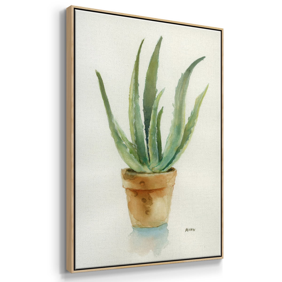 Succulent IV Framed Premium Gallery Wrapped Canvas - Ready to Hang - 17 x 25 - Natural Wood Floating Frame