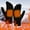 Black, variant on Qonioi USB Heated Gloves, Rechargeable Electric Heating Gloves for Cold Weather, USB Powered Winter Gloves with Touchscreen Fingers, for Outdoor Work Skiing Camping