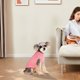 thumbnail image 4 of Suéter acogedor para razas pequeñas y grandes Diseño de punto suave para una comodidad máxima Ideal para el clima frío Duradero y fácil de limpiar Perfecto para uso en interiores y exteriores, 4 of 4