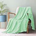 thumbnail image 4 of Exclusivo Mezcla Large Flannel Fleece Throw Blanket, Jacquard Weave Leaves Pattern (50" x 70", Mint Green), 4 of 8