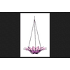 Couronne Fuchsia Wild Bird 16.9 oz. Glass Hanging Bowl Bird Feeder