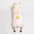 thumbnail image 3 of Pantalones fisiológicos para perros, período menstrual, pantalones de menstruación, pantalones de cortesía, Keji Teddy Fadou, pantalones fisiológicos para mascotas, correa, 3 of 4