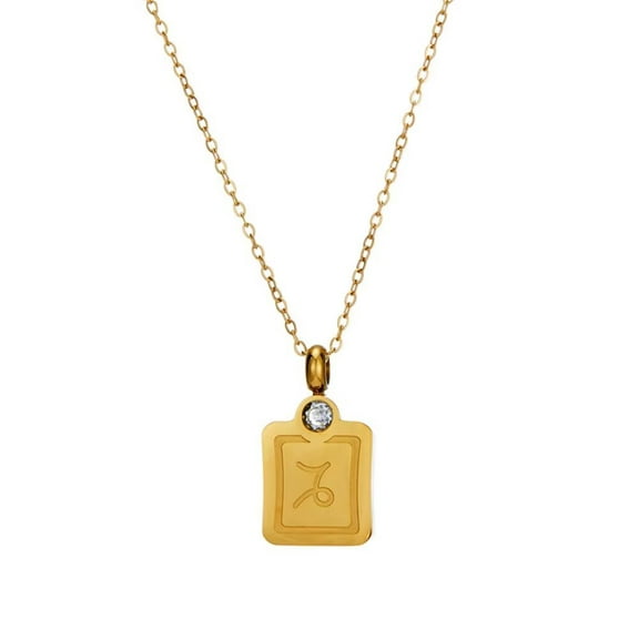 PAMTIER Men's Women's Stainless Steel Round Cubic Zirconia 12 Constellations Signet Zodiac Tiny Pendant Necklace Horoscope Jewelry Capricorn