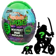 TMNT Mini Figure Capsule