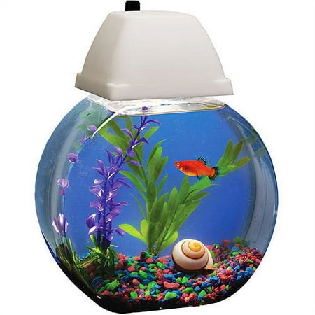 Hawkeye Aqua Bowl Aquarium, 1 Gal. with Light Hood (7 watt bulb) & Gravel