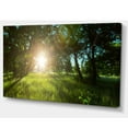 thumbnail image 2 of Sunny Day in Green Forest Meadow - Oversized Landscape Canvas Art, 2 of 3