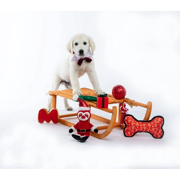 Modern Threads Wag and Wiggle 6-Piece Christmas Holiday Dog Toy Set Red