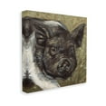 thumbnail image 4 of Stupell Industries Country Pig Painting Animals & Insects Painting Gallery Wrapped Canvas Art Print Wall Art, 36 x 36, 4 of 8