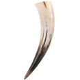 thumbnail image 3 of Bull Horn Flower Vase for Wall Decor Plastic Transparent Handcrafted for Storage Use About 4048 Cm, 3 of 4
