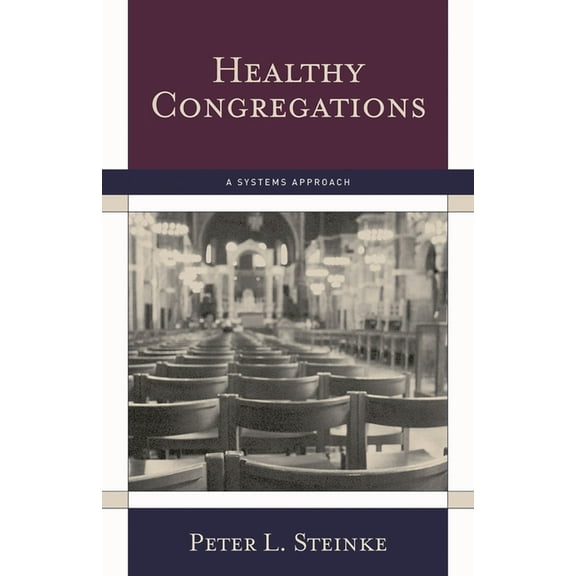 Healthy Congregations: A Systems Approach, (Paperback)