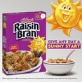 thumbnail image 5 of Kellogg's Raisin Bran Breakfast Cereal, High Fiber Cereal, Made with Real Fruit, Family Size, Original, 24oz Box (1 Box), 5 of 5