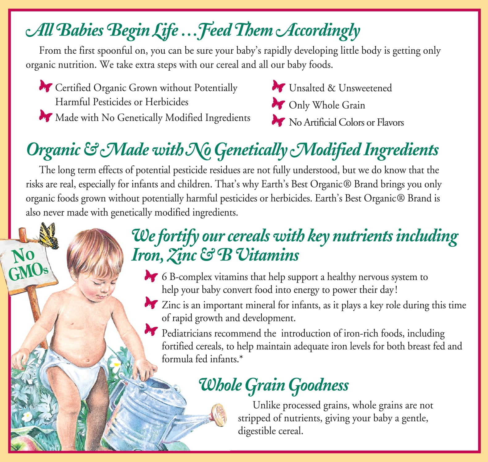 Earth's Best Organic Rice Baby Cereal, 8 oz Box