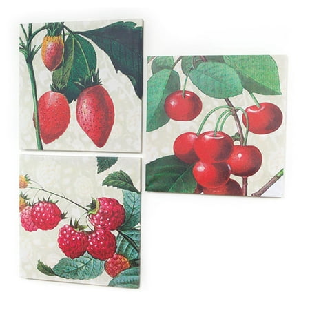 Set of 3 Farm Fresh Strawberry, Cherry & Raspberry Decorative Wall Art Canvases