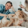 thumbnail image 5 of Dexypaws: Slicker Brush - Medium - Sage Green, Dog & Cat Grooming Tool, Stainless Steel Teeth, Remove Fur-Tangles-Dirt, Coat Maintenance, 7 x 4.1", 5 of 11