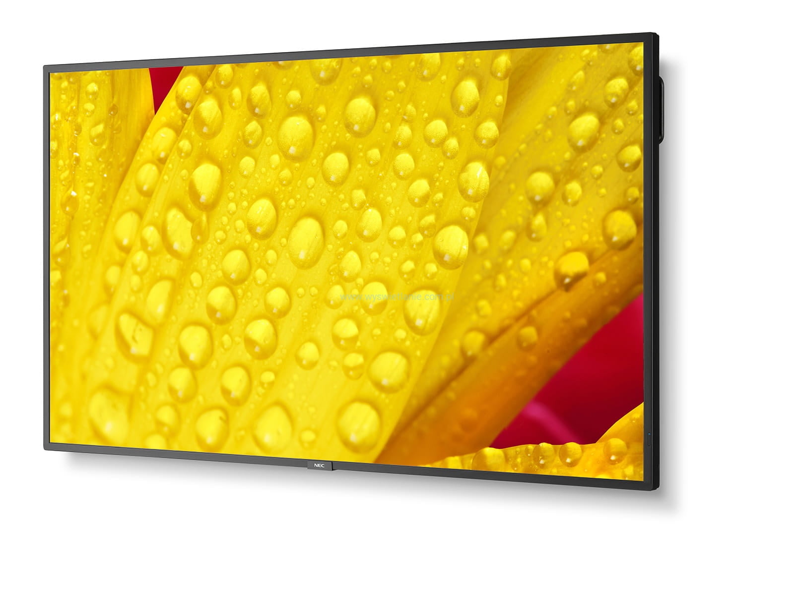 commercial display screens cost price