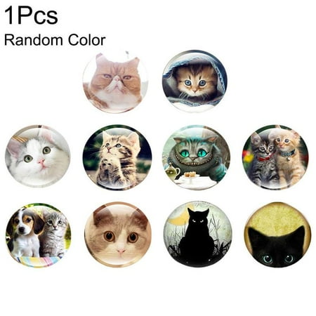

Cute Cat Fridge Magnet Birthday Souvenir Funny Gift Decoration Home Mystery For Refrigerator V1S3