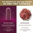 thumbnail image 2 of 12-Hour Sustained Release Piceid Resveratrol Supplement. Nitric Oxide Supplement. Supports Heart Health, Blood Flow, Boost Oxygen Superfood Powder, Keto Friendly. Vegan & NON-GMO. 60 Day Supply., 2 of 6