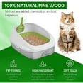 PETSWORLD 100 Natural Pine Wood Cat Litter, NonClumping, NonTracking