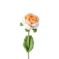 thumbnail image 1 of Artificial Rose Wool Crochet Flower Never Wither Long Lasting Flower 3D Texture Design Romantic Bloom for Mother's Day, 1 of 8