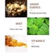 thumbnail image 5 of Set de voluminizador de labios Green Hills Natural Lip Care & Enhancer, 5 of 6