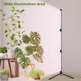 thumbnail image 2 of Grow Lights for Indoor Plants Full Spectrum Auto On/Off Timer (H) & Dimmer ( Levels) Adjustable Gooseneck Switch Modes Great for house Home Office, 2 of 7
