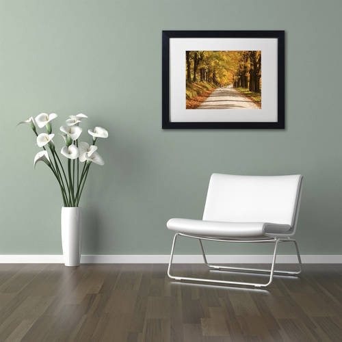 Trademark Fine Art 'Maple Canopy' Canvas Art by Michael Blanchette Photography, White Matte, Black Frame