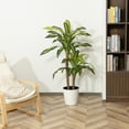 thumbnail image 3 of HiPlants 5ft Artificial Dracaena Plants in Black Plastic Pot, Faux Trees Indoor Outdoor Decor, Fake Plants for Home Decor Office Porch Patio Perfect Housewarming Gift, 3 of 7