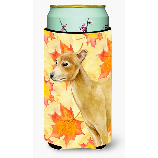 ""Caroline's Treasures Galgo italiano Otoño decorativo puede abrazar niño alto multicolor""