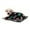 Black Multi Color Paws and Bones, variant on Large 41"x30" Multi Colors Paws and Bones Black Super Soft Fluffy High Quality Pet Dog Cat Fleece Blanket 104 cm x 76 cm, 1 count