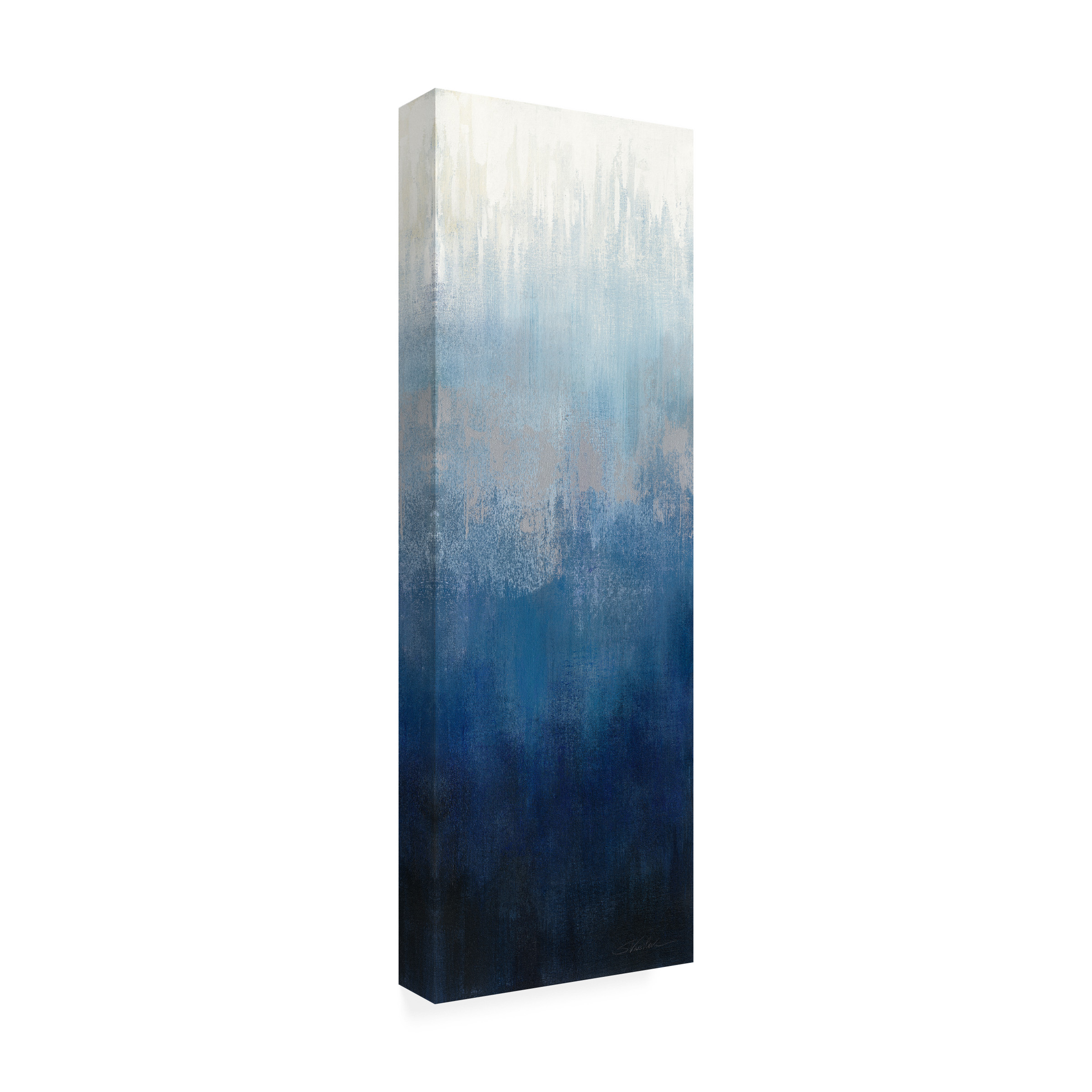 Trademark Fine Art Silvia Vassileva Silver Wave II Canvas Wall Art - 6x19