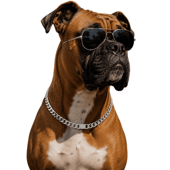 Silver Cuban Link Dog Chain Collar,Heavy-Duty,Fade-Resistant Metal Necklace for Medium & Large Dogs, Durable & Stylish Pet Jewelry (Silver, 22"(Neck Fits 18–21IN))