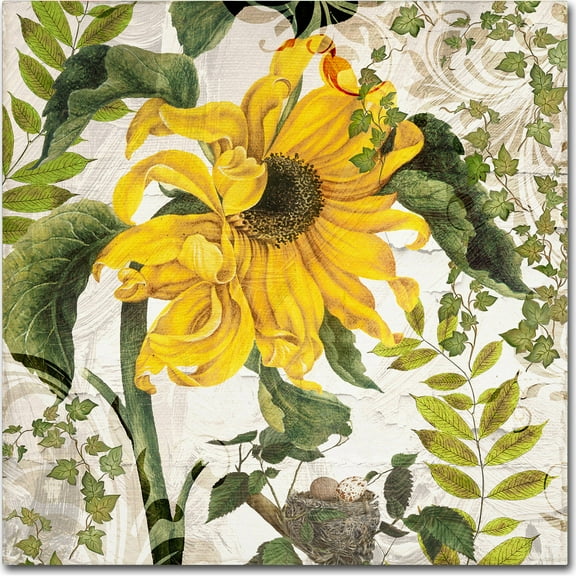 Trademark Fine Art "Carina II" Canvas Art by Color Bakery