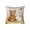 #04, variant on Fwttom 18x18 Pillow Covers, Imitation Embroidery Pillow Cases, Simulated Cute Pet Animals Printed Throw Pillow Covers 18x18 for Holiday Sofa Cushion Cover, Multicolor