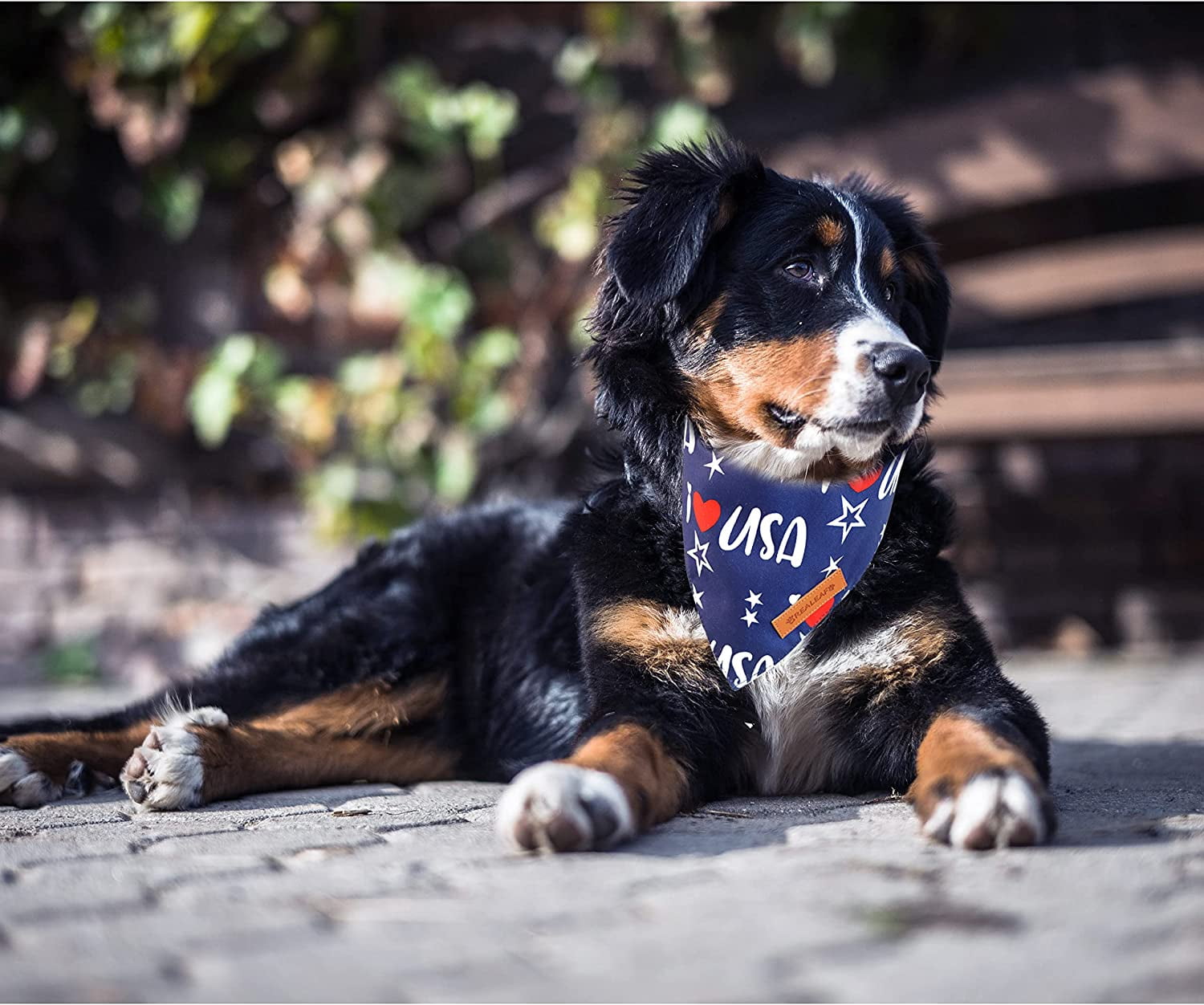 4th of July Bandanas 2 Pack, Triangle Reversible American Flag Pet Patriotic Scarf for Boy and Girl, Premium Durable Fabric, USA Bandana for Medium and Large Dogs (Large)