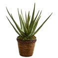 thumbnail image 1 of Nearly Natural 9058 Aloe Artificial Plant in Basket, 1 of 1