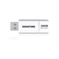 thumbnail image 1 of Unidad flash Gigastone 256 GB USB, paquete de 1 unidad, blanca, 1 of 1